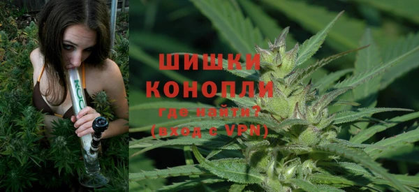 крисы Арсеньев
