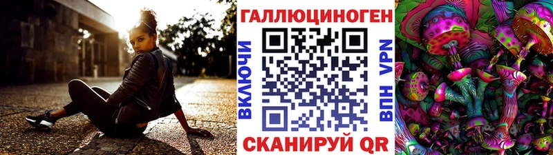 Псилоцибиновые грибы Cubensis Суоярви